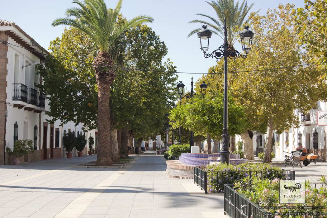 municipio-san-pablo-20
