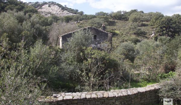 Los Molinos Harineros de la cuenca del río Hozgarganta y Guadiaro