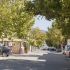 municipio-san-pablo-22